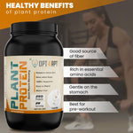 Load image into Gallery viewer, Plant Based Protein Powder 25gm (Swiss Chocolate)